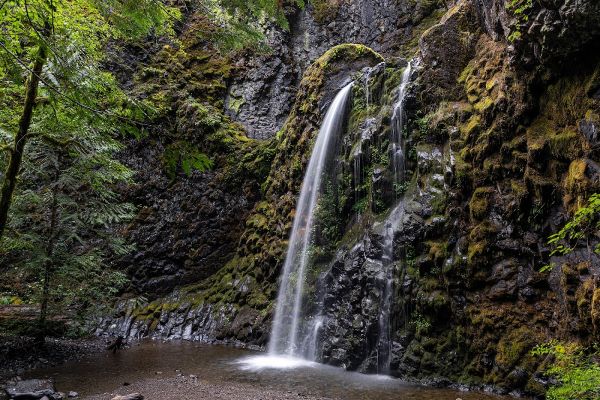 Falcon Creek