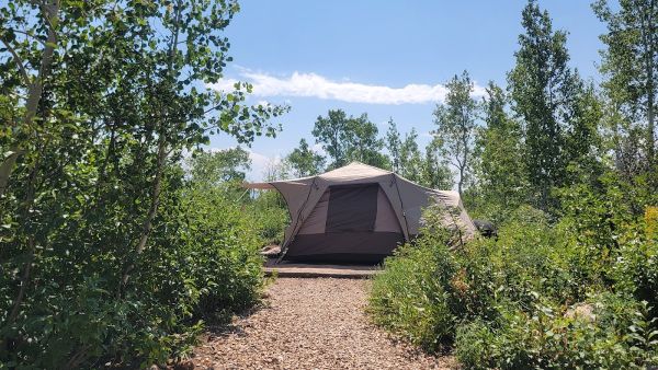 Line Camp