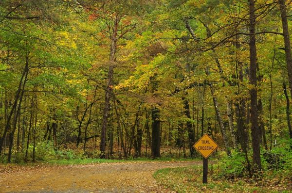 Wild River State Park