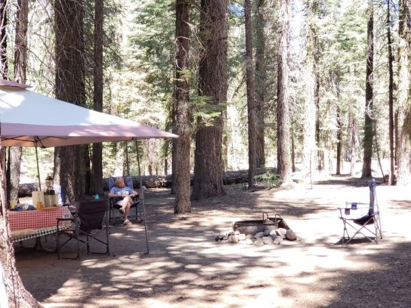 Fork Camp